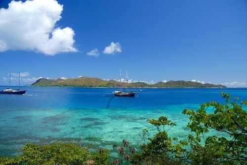 海底世界填颜色4